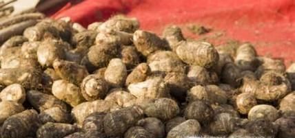 清除电热水壶水垢八大的方法