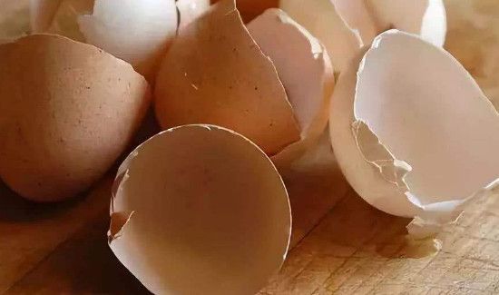 蛋壳是湿垃圾还是干