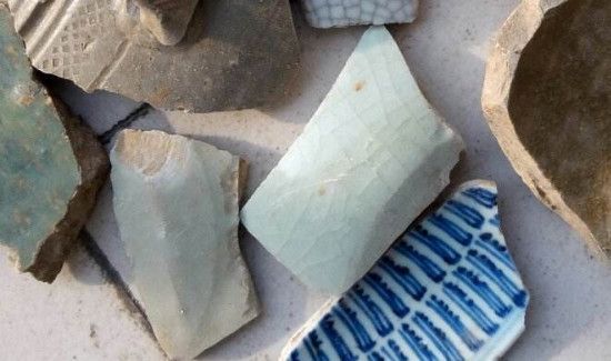 核桃皮儿是什么垃圾