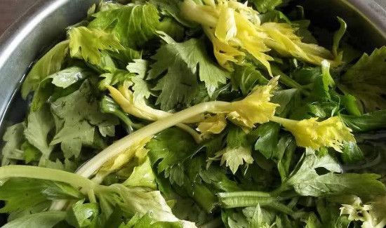 芹菜怎么放保存时间长