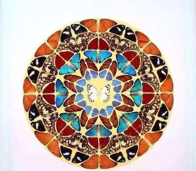 怎样看待艺术生用活蝴蝶做毕业设计