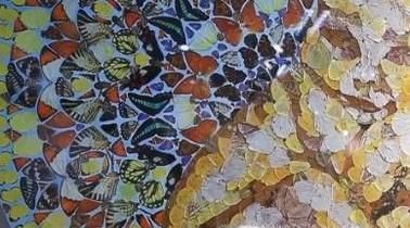 怎样看待艺术生用活蝴蝶做毕业设计