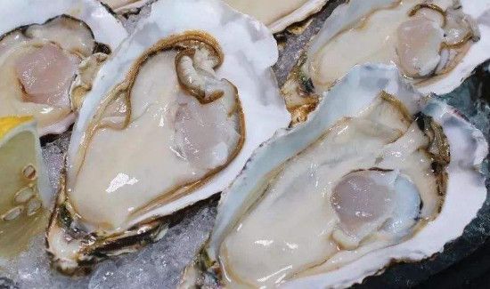 青口贝怎么处理