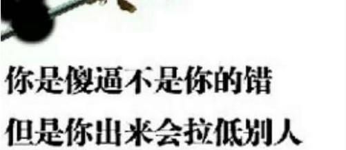 怎样骂人不带脏字