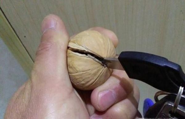 开核桃的小技巧