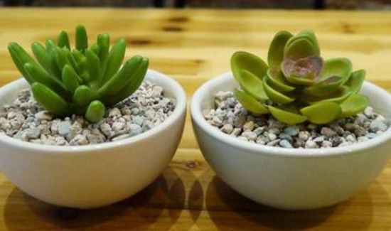 旧碗旧盘子不用了怎么处理