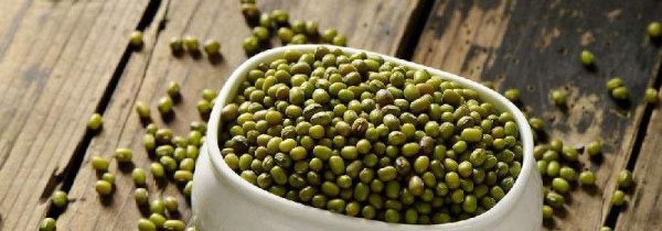 巧生豆芽不长须根法