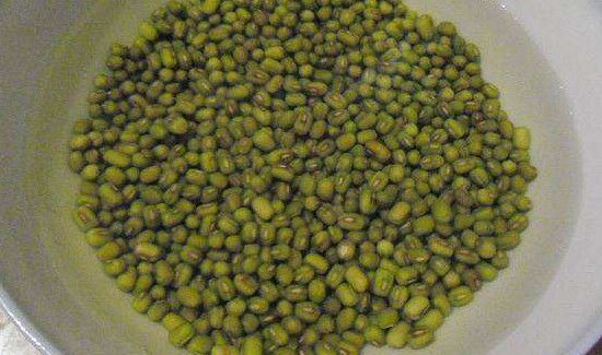 巧生豆芽不长须根法