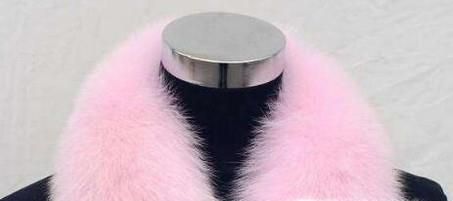 怎么鉴别狐狸毛~