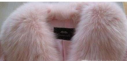 怎么鉴别狐狸毛~