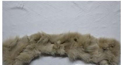 怎么鉴别狐狸毛~