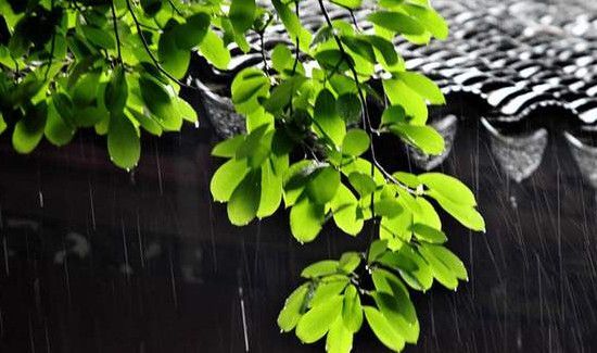 梅雨季节是春夏秋冬哪个季节