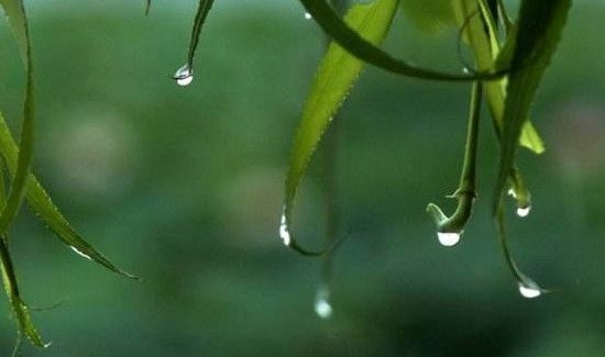 梅雨季节是春夏秋冬哪个季节