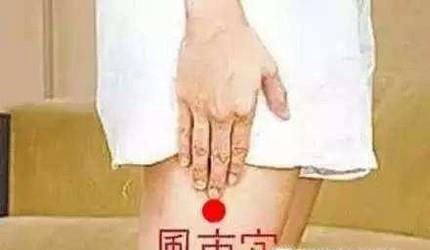 风市穴位位置图和作用
