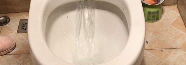 苹果堵了马桶怎么腐烂