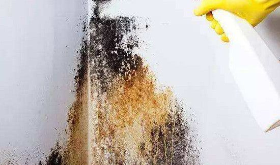 墙角发霉发潮怎么处理