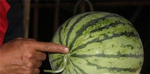 如何挑选西瓜及食用禁忌