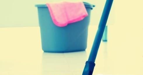 春季如何轻松抵御柳絮？