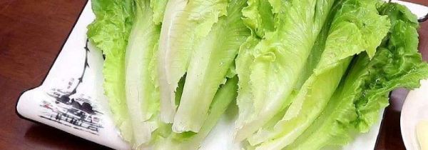 生菜有哪三大禁忌