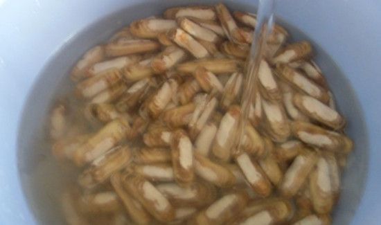 蛏王肉怎么处理干净