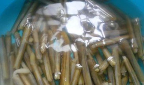 蛏王肉怎么处理干净