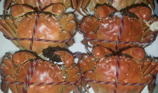 螃蟹蒸好了放冰箱还能吃吗