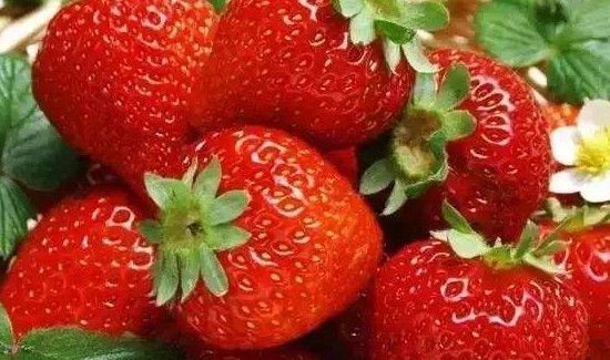 草莓变白了发软能吃吗