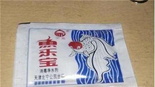 鱼乐宝怎么使用