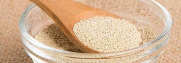 酵母粉是什么做的