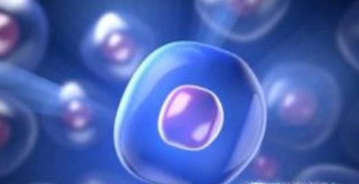 手机的主要危害有哪些？