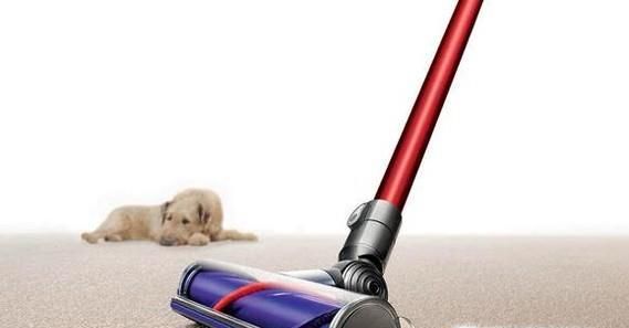 如何清理家里狗毛？