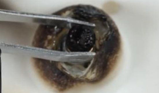 磁铁扣怎么取下来