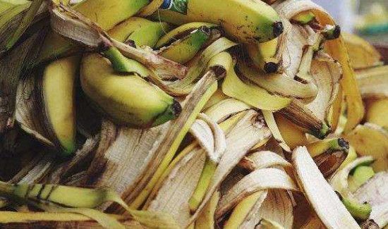 冬天青香蕉怎么催熟