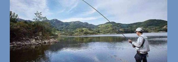 气温低怎么钓鲫鱼