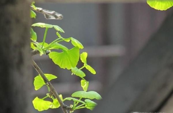 如何才能从普通成为优秀的人？