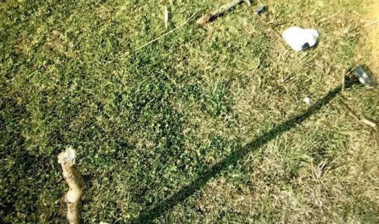 怎么利用太阳和星星来找方向