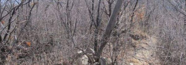 怎么利用太阳的位置辨认方向