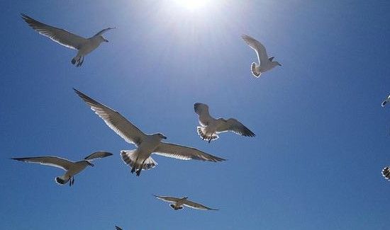 怎么利用太阳生火