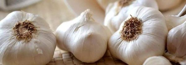 大蒜怎么保存不发芽