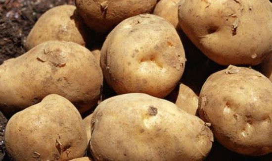 怎么保存土豆不长芽