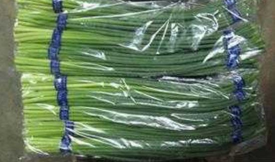 蒜黄放冰箱里怎么保存