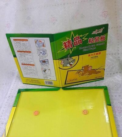 如何用桶活捉老鼠