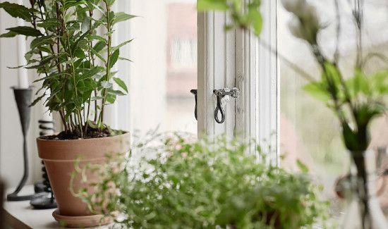 怎么防止楼下的烟味往家里飘