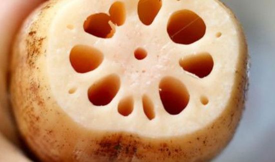 藕和香菇能一起吃吗