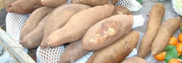 白薯鸡蛋可以一起吃吗