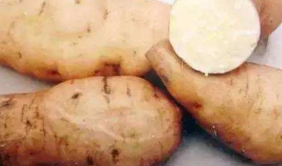 白薯鸡蛋可以一起吃吗