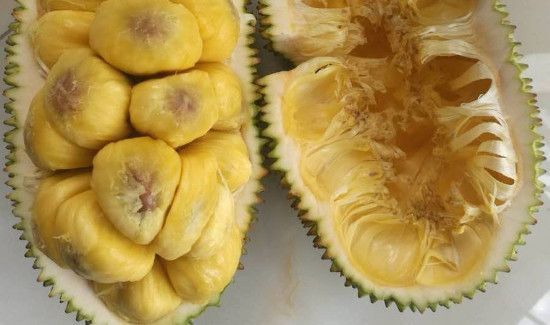 菠萝蜜上面有褐色斑点可以吃吗