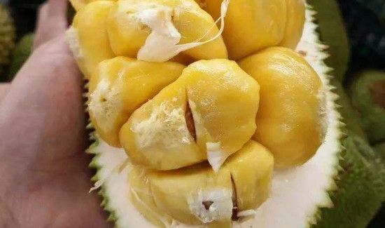 菠萝蜜上面有褐色斑点可以吃吗