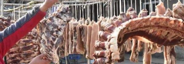 牛肉和橄榄为什么不能一起吃