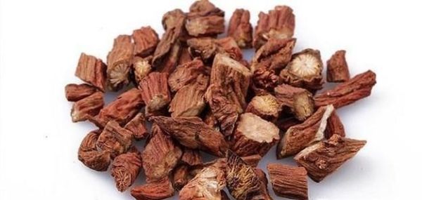 丹参的功效与副作用